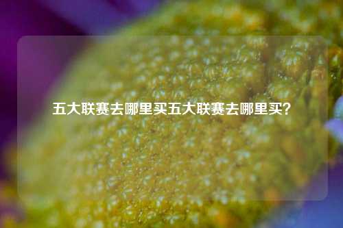 五大联赛去哪里买五大联赛去哪里买？