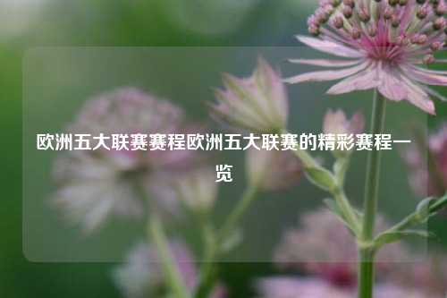 欧洲五大联赛赛程欧洲五大联赛的精彩赛程一览