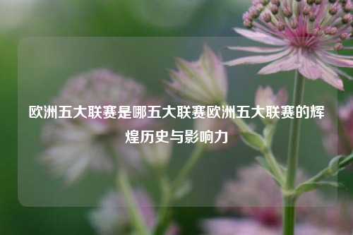 欧洲五大联赛是哪五大联赛欧洲五大联赛的辉煌历史与影响力