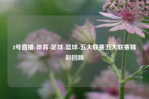 8号直播-体育-足球-篮球-五大联赛五大联赛精彩回顾