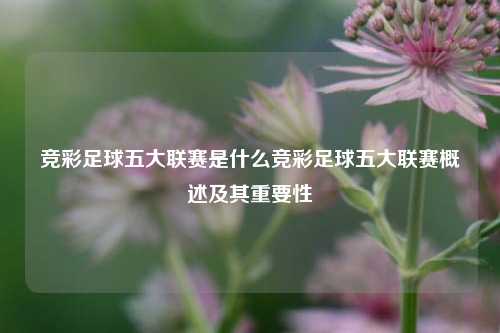 竞彩足球五大联赛是什么竞彩足球五大联赛概述及其重要性
