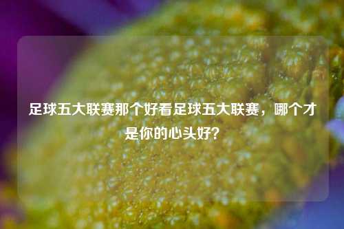 足球五大联赛那个好看足球五大联赛，哪个才是你的心头好？