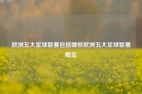 欧洲五大足球联赛包括哪些欧洲五大足球联赛概览