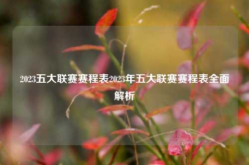 2023五大联赛赛程表2023年五大联赛赛程表全面解析