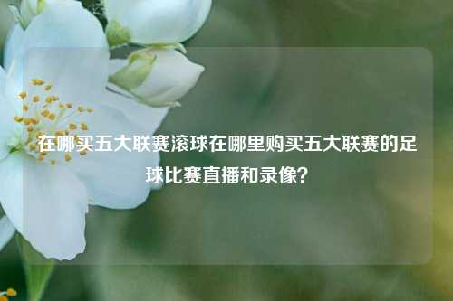 在哪买五大联赛滚球在哪里购买五大联赛的足球比赛直播和录像？