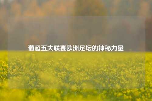 葡超五大联赛欧洲足坛的神秘力量