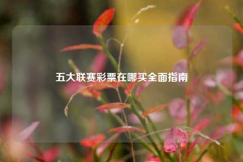 五大联赛彩票在哪买全面指南