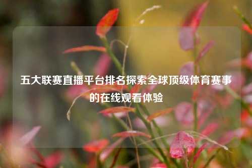 五大联赛直播平台排名探索全球顶级体育赛事的在线观看体验
