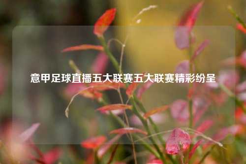 意甲足球直播五大联赛五大联赛精彩纷呈