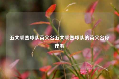 五大联赛球队英文名五大联赛球队的英文名称详解