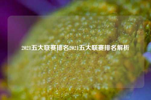 2021五大联赛排名2021五大联赛排名解析