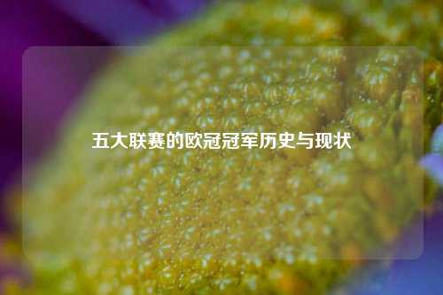 五大联赛的欧冠冠军历史与现状