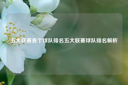 五大联赛各个球队排名五大联赛球队排名解析
