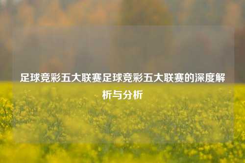 足球竞彩五大联赛足球竞彩五大联赛的深度解析与分析