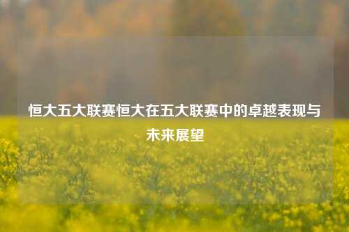 恒大五大联赛恒大在五大联赛中的卓越表现与未来展望