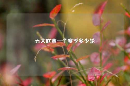 五大联赛一个赛季多少轮