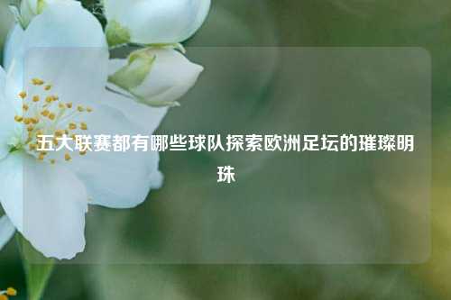 五大联赛都有哪些球队探索欧洲足坛的璀璨明珠