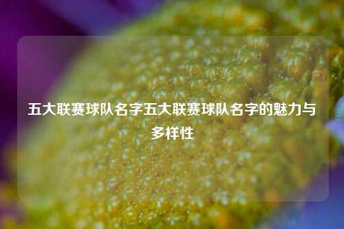 五大联赛球队名字五大联赛球队名字的魅力与多样性