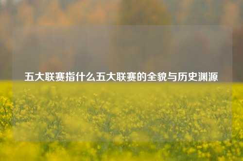 五大联赛指什么五大联赛的全貌与历史渊源
