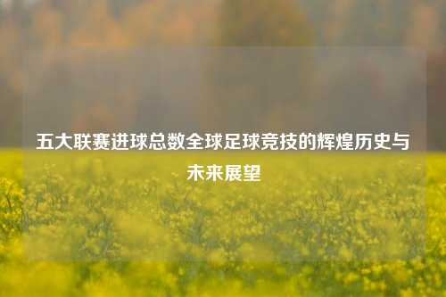 五大联赛进球总数全球足球竞技的辉煌历史与未来展望