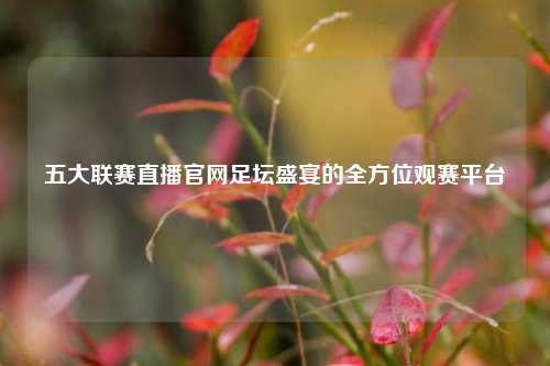 五大联赛直播官网足坛盛宴的全方位观赛平台