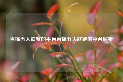 直播五大联赛的平台直播五大联赛的平台解析