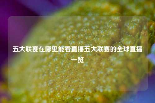 五大联赛在哪里能看直播五大联赛的全球直播一览