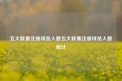 五大联赛注册球员人数五大联赛注册球员人数统计