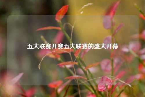 五大联赛开赛五大联赛的盛大开幕