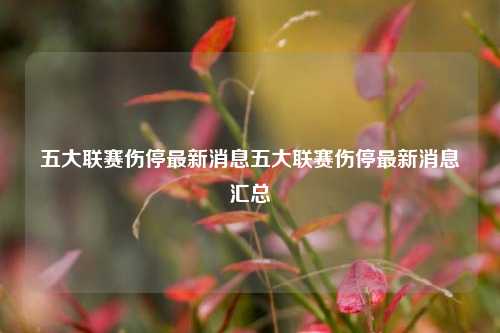 五大联赛伤停最新消息五大联赛伤停最新消息汇总