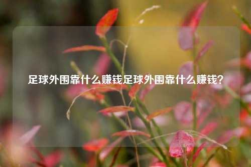 足球外围靠什么赚钱足球外围靠什么赚钱？