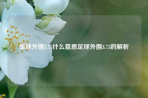 足球外围3.75什么意思足球外围3.75的解析