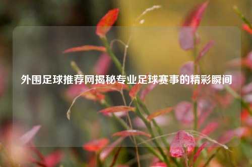 外围足球推荐网揭秘专业足球赛事的精彩瞬间