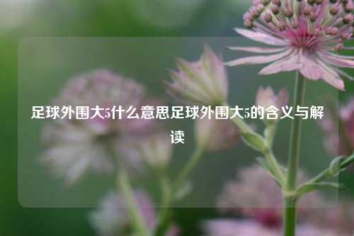 足球外围大5什么意思足球外围大5的含义与解读
