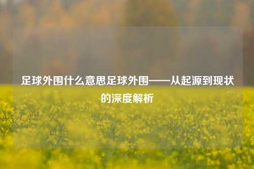 足球外围什么意思足球外围——从起源到现状的深度解析