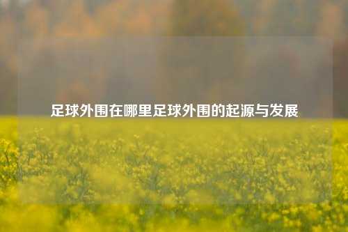 足球外围在哪里足球外围的起源与发展