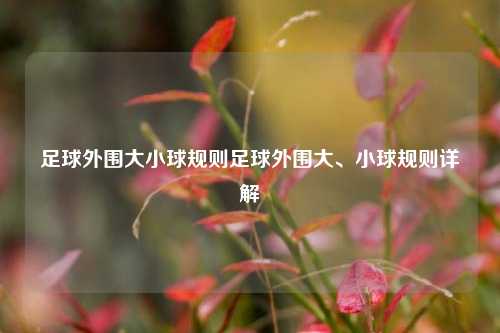 足球外围大小球规则足球外围大、小球规则详解