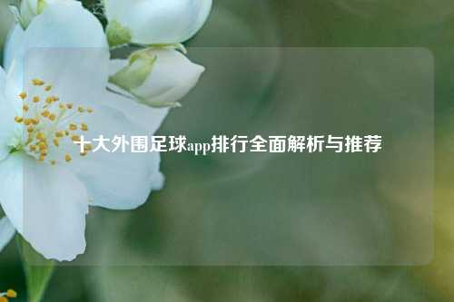 十大外围足球app排行全面解析与推荐