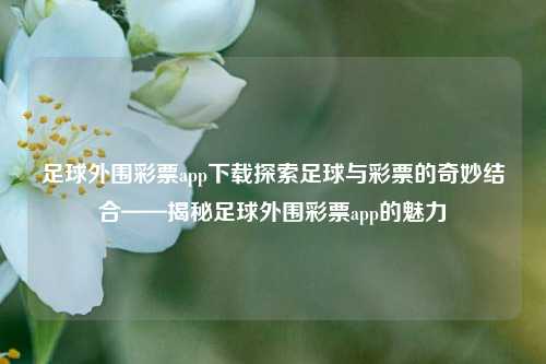 足球外围彩票app下载探索足球与彩票的奇妙结合——揭秘足球外围彩票app的魅力