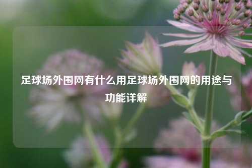 足球场外围网有什么用足球场外围网的用途与功能详解