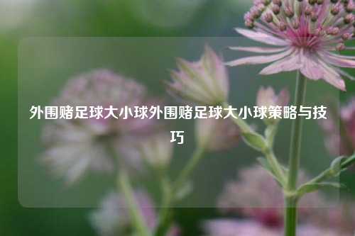 外围赌足球大小球外围赌足球大小球策略与技巧