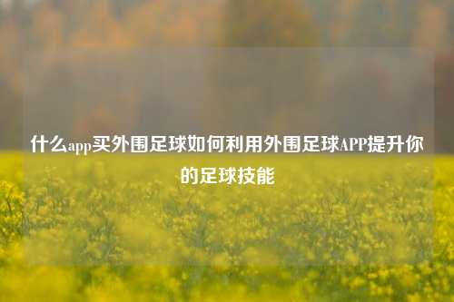 什么app买外围足球如何利用外围足球APP提升你的足球技能