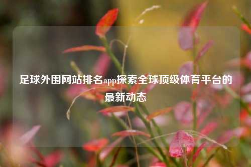 足球外围网站排名app探索全球顶级体育平台的最新动态