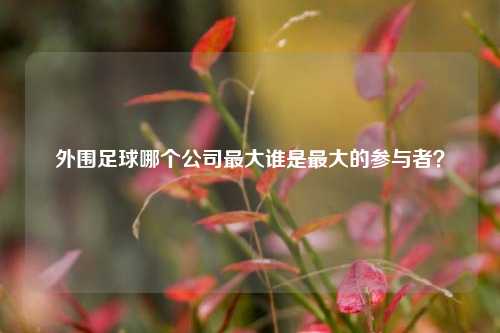 外围足球哪个公司最大谁是最大的参与者？
